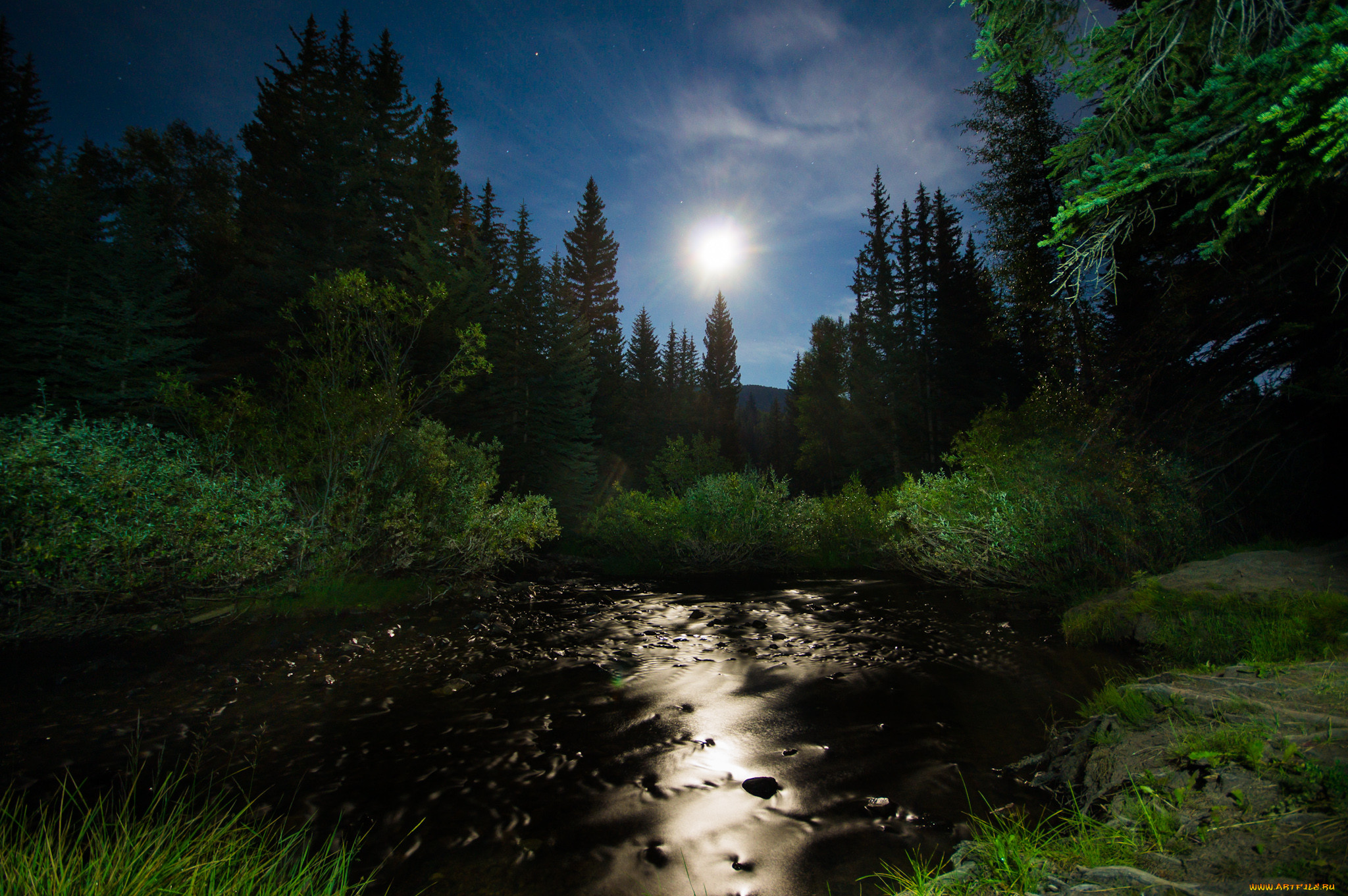 Ночь лес красиво. Ночь река лес. «Ночь в лесу». Ночной лес. Летняя ночь в лесу.